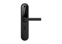 Home Plus BLACK - умный замок для апартаментов и домохозяйств Home Plus BLACK - умный замок для апартаментов и домохозяйств